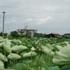 周防大島の嵩山へ挑む！