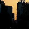 参院選