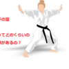 空手の形の基本は子供のうちに身に着けておかないと損をする！？
