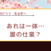 【光る君へ】安倍晴明の一人劇場？私的謎ばかりの回でした。