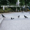 【降園後の公園は疲れる】幼稚園後の公園遊びはやめたい・・しんどいです（ママ友付き合いめんどくさい！お友達とのトラブルに巻き込まれたくない！）