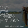 2034食目「アジが東京を全国制覇を狙っている!？」アジフライが日本各地で流行りだした！