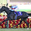 12.25(日)　競馬　有馬記念とか