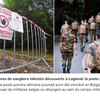 【アフリカ豚コレラ】 ベルギー南部で発生　軍キャンプでの外国軍との訓練でウイルス拡散か？