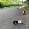 サーフスケート買って3ヶ月が経ちました。