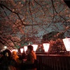 「目黒川」目黒川に桜が咲く頃、私は夜桜を…