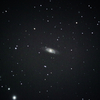 かみのけ座 NGC4274 棒渦巻銀河