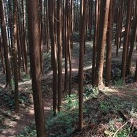 古宮城　（愛知県　新城市）1