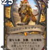 【Hearthstone】天下一ヴドゥ祭　カード評価その2【パラディン・プリースト・ローグ】