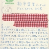 蒲公英