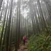 山行記　東鳳翩山　雨中行