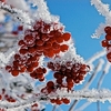 ２０２０年２月６日（木）多面的重層的な民主主義の前進