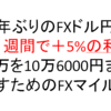 FXで勝ち続けるためのマイルール