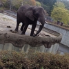 盛岡市動物公園へ行ってきた