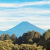 今朝の景色