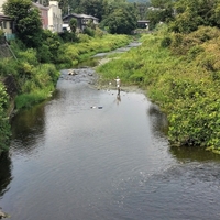 田園地帯を流れる成木川の釣り人