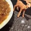 シカレー🦌🍛🥄(*˘ー˘*)