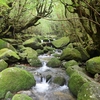 屋久島を歩きまくった結果、爪先に爽やかな風を感じる