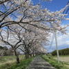 お花見穴場の話