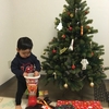 グローバルトレードのツリーと1歳児