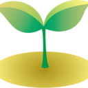 屋久島スプラウトのOUTPUT