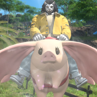 FF14 ×ゴンチャコラボイベントで貰えるマウント「ファットポーク