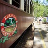 【Australia】Cairns ✈︎ 熱帯雨林にある町「キュランダ」その③