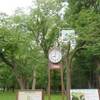 円山に登りました（29回目）