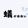 2024年めっちゃ蟻多くない？？