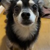 まろにー2724日目