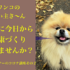 今日からできる健康づくりのポイント｜犬の飼い主さんのためのコロナ講座２