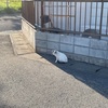 5月9日