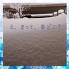 続) 克雪