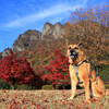 紅葉トレッキング