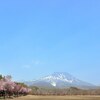  GW東北旅行記 その7（桜のトンネル、りんご公園） 