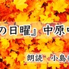 ◆YouTube更新しました♬  366本目　中原中也『秋の日曜』🍁