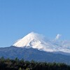 ここにいるよ🍊愛はまだここにいるよいつまでも