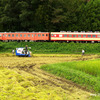 【いすみ鉄道/小湊鐵道】鎌祝ひ。