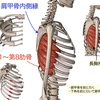 肩凝りの方必見！前鋸筋編！