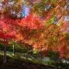 四万温泉の紅葉は見ごろ