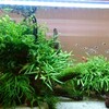 今のところ順調ですが