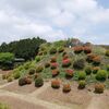 山中城跡公園でピクニック