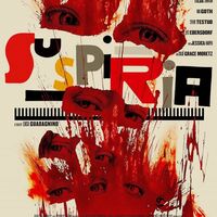 映画のデザイン おいっ サスペリア 決してひとりでは見ないでください になっていないじゃないか 映画のような Way Of Life 映画のデザイン おいっ サスペリア 決してひとりでは見ないでください になっていないじゃないか 映画のような Way Of Life