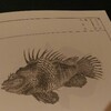 麑海魚譜（げいかいぎょふ）という本