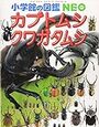 グラントシロカブトムシは黒く・ビルマゴホンヅノカブトムシは今頃さなぎに！【小2息子・3歳娘】