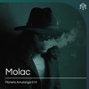 "Molac" so BEAUTIFUL Melodic Organic, Afro, Progressive, Deep House, Remix