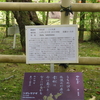 万葉歌碑を訪ねて（その１０７４）ー奈良市春日野町　春日大社神苑萬葉植物園（３４）ー万葉集　巻八　一四三三