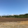 温泉♨️のオススメ‼️  湯元 凌雲閣