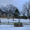 今朝も雪