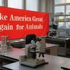 【米】もう一つの勝利：トランプ政権、動物をトランスジェンダーにし、GHB を過剰摂取させる NIH 助成金を取り消す